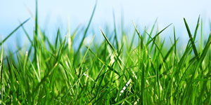 Environmental